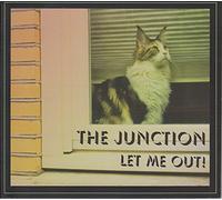 The Junction - Let me out!