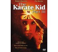 The Karate Kid Part III (DVD) Ralph Macchio Pat Morita (Importación USA)
