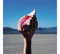 The Killers Wonderful Wonderful (CD) Album (Importación USA)