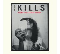 The Kills - Fried My Little Brains