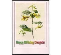 The Klansman Widescreen TV: Tarjeta de felicitación: feliz cumpleaños hija [DVD]