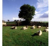 The Klf - Chill Out