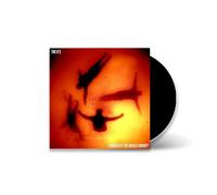 The K'S - I Think The World Knows (CD)