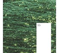 The KVB - Minus One [VINYL] [Vinilo]