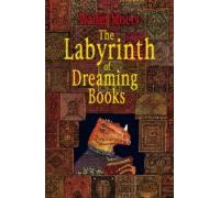 The Labyrinth Of Dreaming Books (ebook)