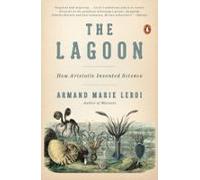 The Lagoon (ebook)