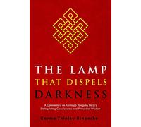 The Lamp that Dispels Darkness: A Commentary on Karmapa Rangjung Dorje's 'Distinguishing Consciousness and Primordial Wisdom'