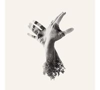 The Last Dinosaur - The Nothing [Vinilo]