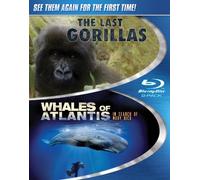 The Last Gorillas/Whales of Atlantis in Search for Moby Dick(Two-Disc Blu Ray)