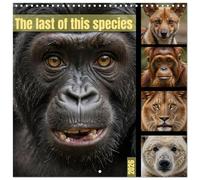 The last of this species (Calendar 2026 12" x 24" / 30 x 60 cm (abierto) CALVENDO 12 Month Wall Calendar