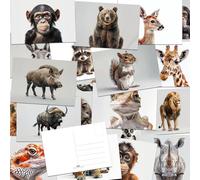 the lazy panda card company 64 postales de animales - Postales de animales sobre fondos aislados, llama la atención sobre los animales