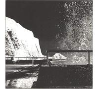 The Leaf Library - Daylight Versions [VINYL] [Vinilo]