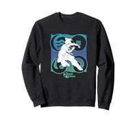 The Legend of Korra Water Tribe Badge Sudadera