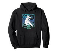 The Legend of Korra Water Tribe Badge Sudadera con Capucha