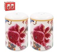 The Leonardo Collection Anthina - Juego de salero y pimentero | Salero y pimentero de cerámica de diseño británico | Dispensador de tarros decorativos para cocina | Salero y pimentero para todo tipo