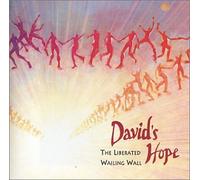 The Liberated Wailing Wall - David's Hope