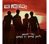 The Libertines - Anthems For Doomed Youth [Vinilo]
