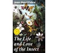 The Life And Love Of The Insect (ebook)