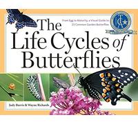 The Life Cycles of Butterflies: From Egg to Maturity, a Visual Guide to 23 Common Garden Butterflies