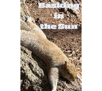 The Life of a Squirrel in Durham!!!: Basking in the Sun