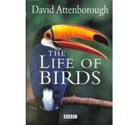 The Life of Birds