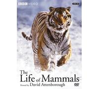 The Life of Mammals 1-4 – BBC – DVD – Edición Estados Unidos