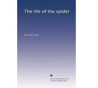 The life of the spider