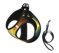The Light of The Earth - Arnés para perro, equipado con correas reflectantes y hebillas de liberación rápida, adecuado para gatos y perros pequeños