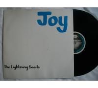 The Lightning Seeds - Joy