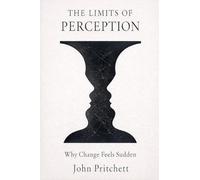 The Limits of Perception: Why Change Feels Sudden