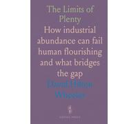 The Limits of Plenty: How industrial abundance can fail human flourishing and what bridges the gap