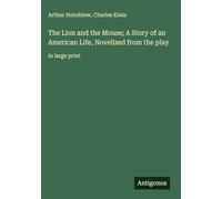 The Lion and the Mouse; A Story of an American Life, Novelized from the play: in large print