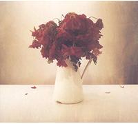 The Lion & the Wolf – The Cardiac Hotel – Vinilo 12" Álbum
