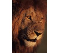 The Lion That Wouldn't Die: The David Walker Story