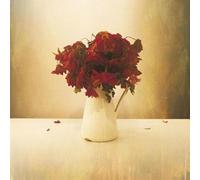 The Lion & the Wolf The Cardiac Hotel (CD) Album