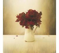 The Lion & the Wolf The Cardiac Hotel (Vinyl) 12" Album