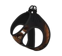 The Lion's Gaze - Juego de arnés y correa suave para mascotas, arnés de malla ajustable para cachorros y perros pequeños, medianos y grandes