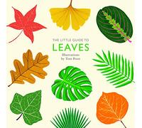 The Little Guide to Leaves (Little Guides)