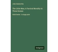 The Little Man; A Farcical Morality in Three Scenes: Sixth Series - in large print