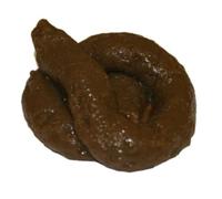 The Little Party Shop Sticky Soft Fake Dog Poo Turd Novelty Practical Joke Prank Fun by The Little Party Shop