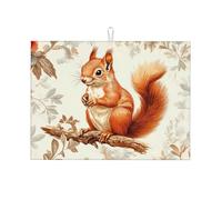 The Little Squirrel is On The Branch - Tapete grande de microfibra para escurrir platos, reutilizable, lavable, para accesorios de cocina, 45,7 x 60,9 cm