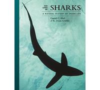 Las vidas de los tiburones – Historia natural de los tiburones – 7 (Las vidas del mundo natural)