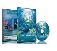 The Living Ocean: An Underwater Journey