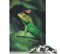 The Lizard and Dragonfly Puzzle Imposible,desafío for Adults Juego Educativo 1000 Piezas Obra De Arte De Juego De para Adultos Y Niños Mayores De 12 Años 1000pcs (75x50cm)