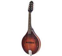 The Loar LM-110 Honey Creek BRB