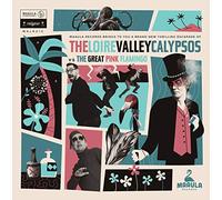 The Loire Valley Calypsos - Vs The Great Pink Flamingo
