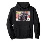 The Lone Ranger Vintage Memorabilia Collage Sudadera con Capucha