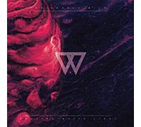 The Lonely Wild - Chasing White Light