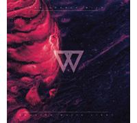 The Lonely Wild Chasing White Light (Vinyl) (Importación USA)