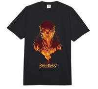 The Lord of The Rings Frodo Mount Doom Comfort Colors Adult Heavyweight T-Shirt